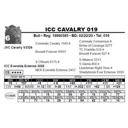 ICC CAVALRY 019