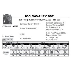 ICC CAVALRY 007