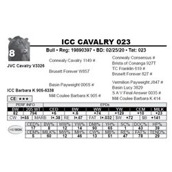 ICC CAVALRY 023