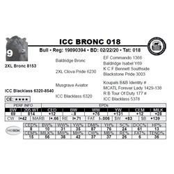 ICC BRONC 018