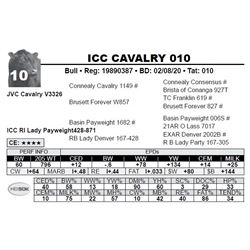 ICC CAVALRY 010