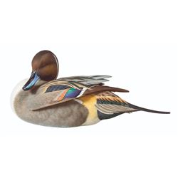 Pintail Drake Decoy of the Year