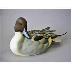 Jett Brunet Pintail Decoy