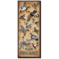 Waterfowl of North America Wrapped Canvas
