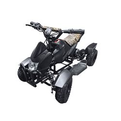 Electric Quad ATV
