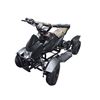 Image 1 : Electric Quad ATV