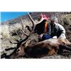 Image 1 : 5 Day Archery Elk & Black Bear for One Hunter