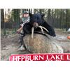 Image 2 : (10 total days) Five Days of Black Bear & 5 Days of Fly Fishing for One Hunter