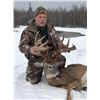 Image 1 : 4 Day Whitetail up to 180” (170-180”) Hunt for One Hunter & One Non-Hunter