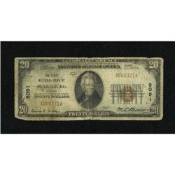 Pearisburg, VA - $20 1929 Ty. 1 The First NB Ch.