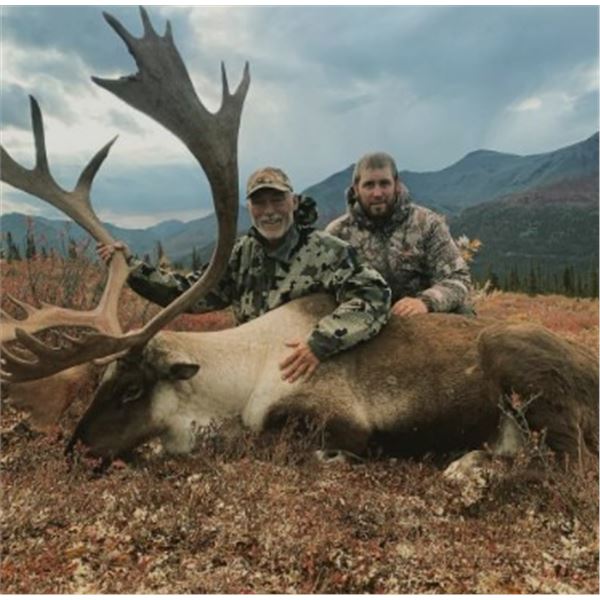 10 Day Mountain Caribou Hunt