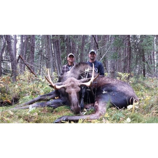 8 Day Alberta Moose Hunt