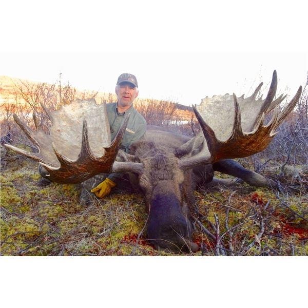 12-Day Alaska/Yukon Moose Hunt