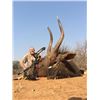 Image 8 : 10 Day Lion/Lioness Hunt in Limpopo, South Africa