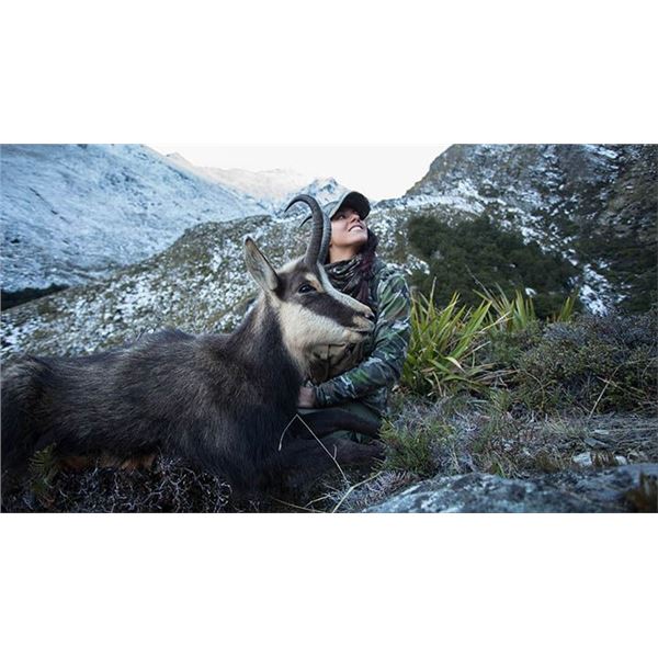 7 Day Himalayan Bull Tahr