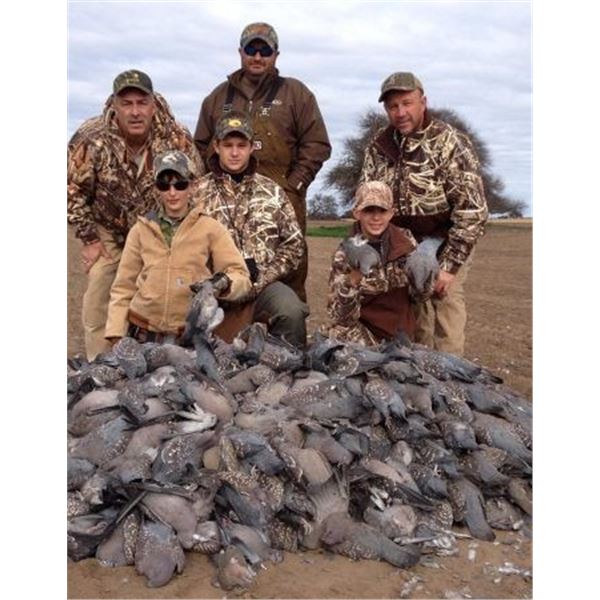 Duck & Perdiz Hunt for 3