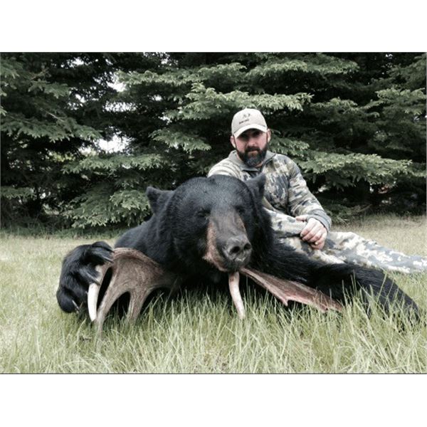 7 day Saskatchewan Black Bear