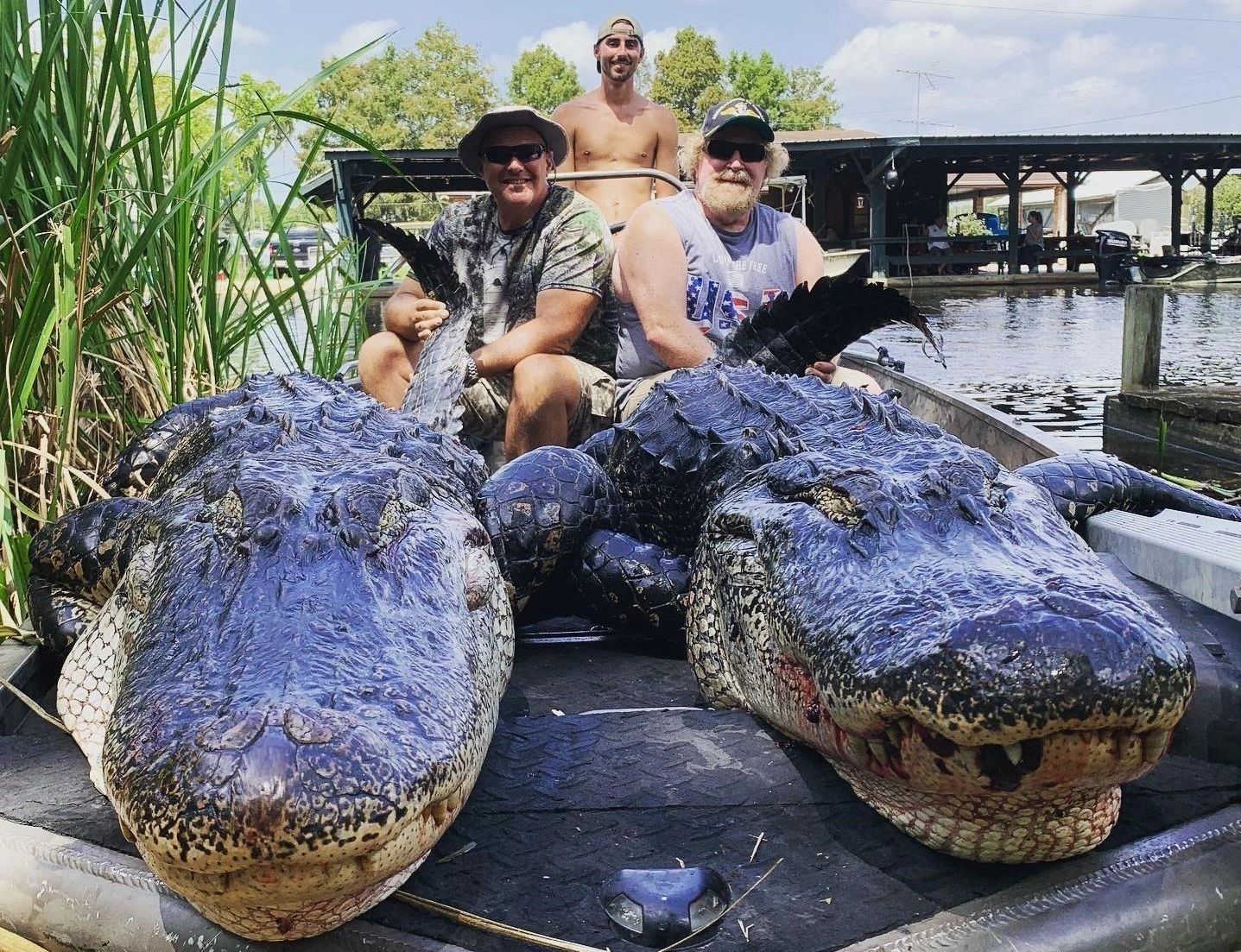 Louisiana Trophy Alligator Hunt for 1 hunter and 1 observer
