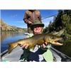 Image 1 : Missouri River Lodge - Fishing – Cascade, Montana