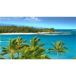 Hawaiian Islands Condo