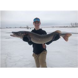 NORTH DAKOTA - 3 DAY PIKE SPEARING & WALLEYE FISHING FOR 2 ANGLERS