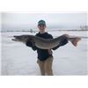 Image 1 : NORTH DAKOTA - 3 DAY PIKE SPEARING & WALLEYE FISHING FOR 2 ANGLERS