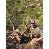 Image 1 : Royal Karoo Safaris - South Africa – Springbuck Grand Slam, Blue Wildebeest, Impala, Klipspringer an