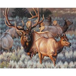 “ROYAL ESCORT” Framed Original 20X28 Elk by Montana’s Own Cynthie Fisher