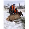 Image 1 : Montana – Flying Arrow Ranch - 4 Cow Elk for 4 Hunters
