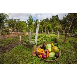 Belize Jungle Retreat & Fishing Package