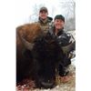 Image 1 : Montana Bison Company LLC Bison Hunt