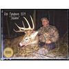 Image 1 : 5-day Missouri Midwestern White-tailed Deer Archery Hunt for One Hunter