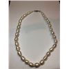 Image 1 : A Single Strand of Cultured Fresh Water Pearls with White Metal Clasp