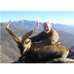 Spanish Traditional Hunting Experience