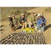 Image 1 : Mexico Dove Hunt Muy Grande Outfitters Sergio Esterella