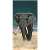 Image 1 : Safari Club International  Elephant Print