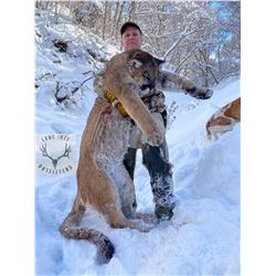 Lonetree Outfitters  Brady Loveless  Mountain Lion Hunt