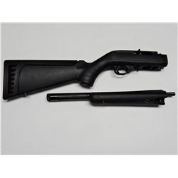 Ruger 10/22 Take Down