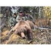Image 1 : Crosshair Outfitters  Mike Cowan  Alaska Bear Hunt