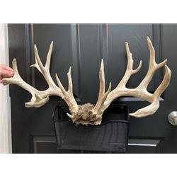 ConQuest Scents  Doug Roberts  Trophy Rack