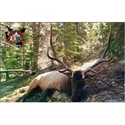 KB Outdoors Inc.  Kyle Lopez  Bull Elk Hunt