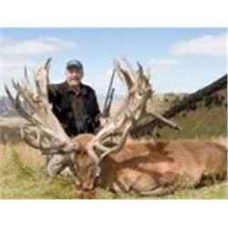 Cardrona Outfitters  Simon Hawkins  Red Stag Hunt