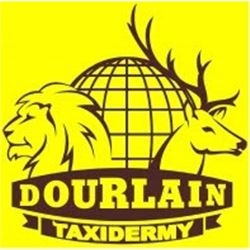 Dourlain Taxidermy   Dave Ratliff