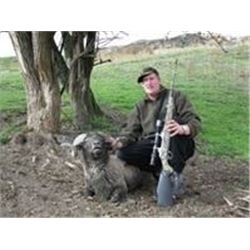 Cardrona Outfitters  Simon Hawkins Arapawa ram hunt