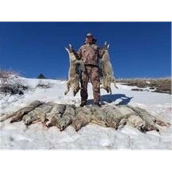 Nebraska Predator Hunt