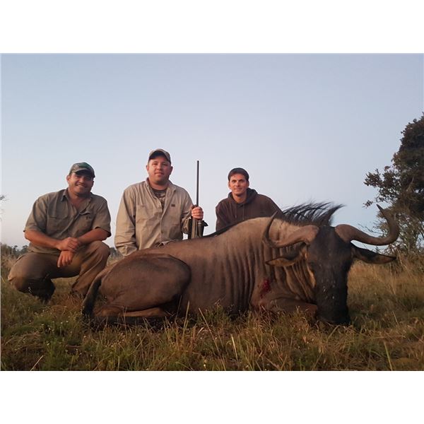 Three Animal Trophy hunt for 1 hunter  in South Africa.  Chris du Plooy Safaris