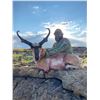 Image 1 : New Mexico Pronghorn hunt for 1