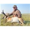 Image 3 : New Mexico Pronghorn hunt for 1