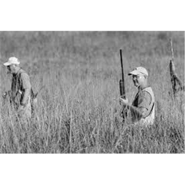 Michigan 18 Bird Pheasant Hunt