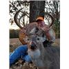 Image 1 : Illinois Youth Archery Whitetail Hunt